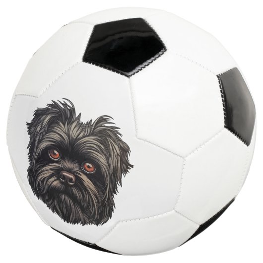 Chien noir Affenpinscher (3/4)