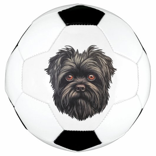 Chien noir Affenpinscher (Devant)
