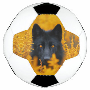 Chien noir aux yeux d'or étonnants
