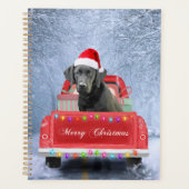 Chien noir du Labrador en neige assis à Noël (Devant)