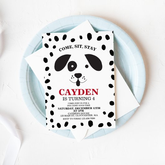 Chien noir et blanc spot Anniversaire Invitation
