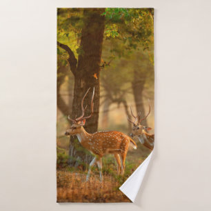 Chien ou cheetal, axe Axe, cerfs tachetés ou axi