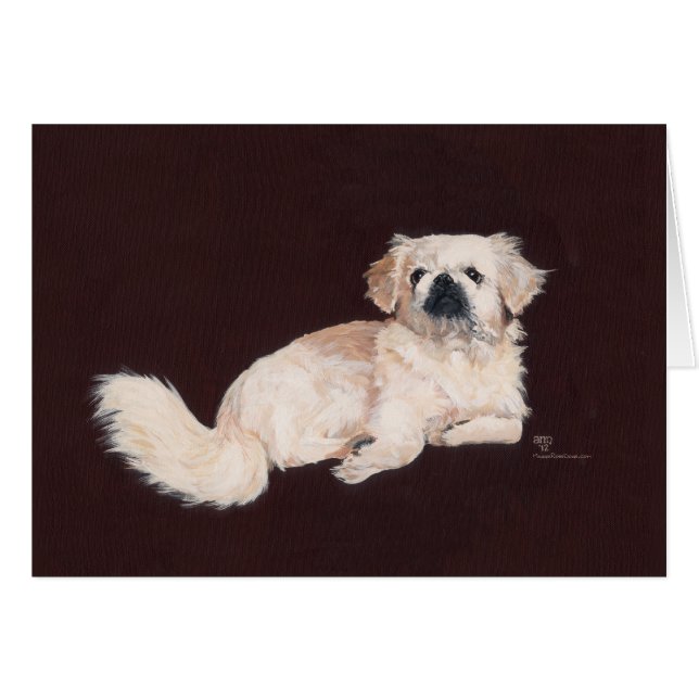 Chien Pékinois Blanc (Devant horizontal)