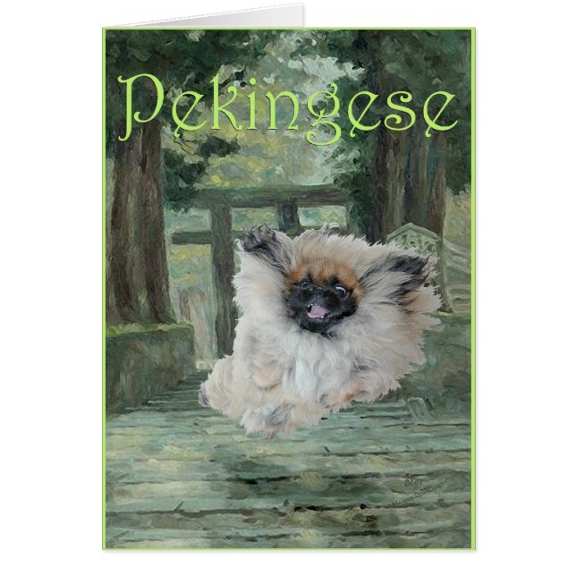 Chien Pékinois Porte Orientale (Devant)