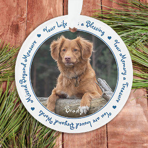 Chien Photo Animal Perdre Sympathie Pet Memorial