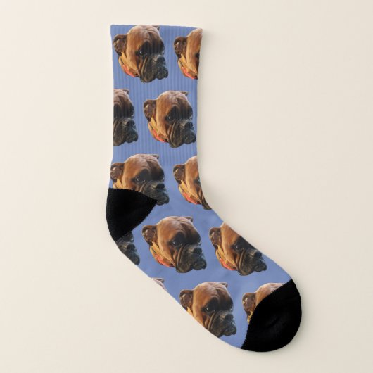 Chien Photo Boxer Chaussettes (Gauche intérieur)