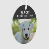 Chien Photo Pine Branche Snowflakes Joyeux Noël (devant)