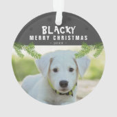 Chien Photo Pine Branche Snowflakes Joyeux Noël (dos)