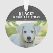 Chien Photo Pine Branche Snowflakes Joyeux Noël (devant)