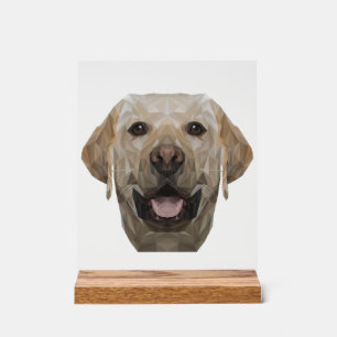 Chien Polygone Papa Chien Maman Dogfather Labrador