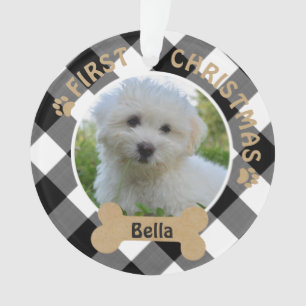 Chien PREMIER NOËL Buffle noir blanc plaqué