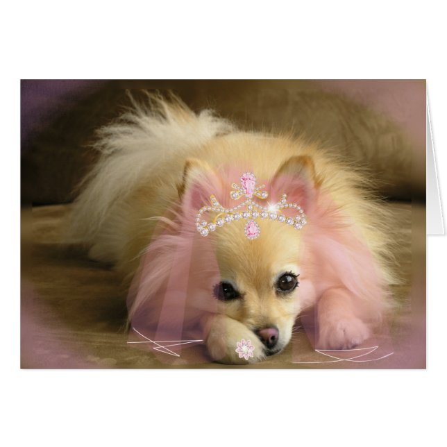 CHIEN PRINCESS FAIRY (Devant horizontal)