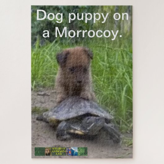 Chien ​ puzzle ​ sur une Morrocoy. (Vertical)