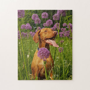 Chien Puzzles Animal Pic mignon Sad Chiot Photo