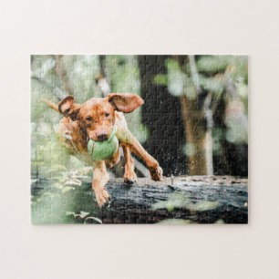 Chien Puzzles Animal Pic mignon Sad Chiot Photo