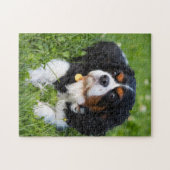 Chien Puzzles Animal Pic mignon Sad Chiot Photo (Horizontal)