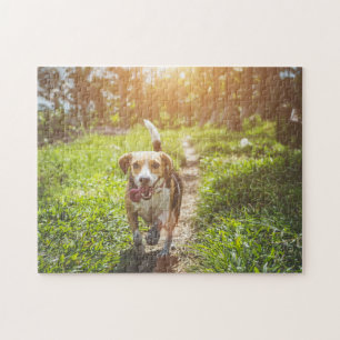 Chien Puzzles Animal Pic mignon Sad Chiot Photo