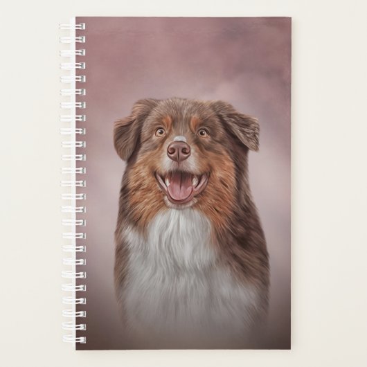 Chien race Australian Shepherd (Devant)