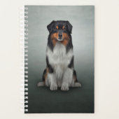 Chien race Australian Shepherd (Devant)