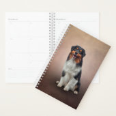 Chien race Australian Shepherd (Devant avec enveloppe)