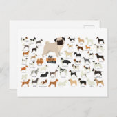 chien race carte postale (Devant / Derrière)