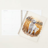Chien Retriever Golden Blanc (Devant avec enveloppe)