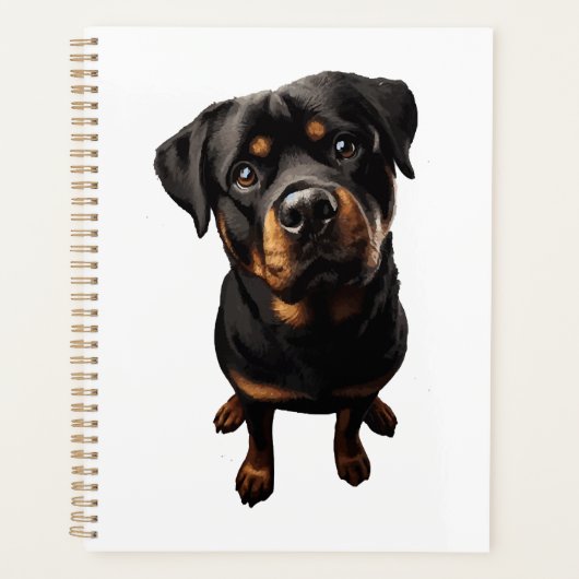 chien rottweiler (Devant)