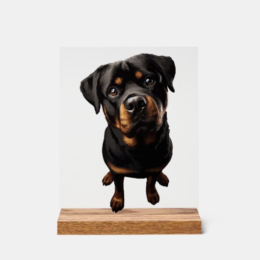 chien rottweiler (Recto)