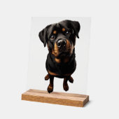 chien rottweiler (Angle)