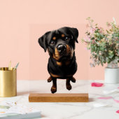 chien rottweiler (Mariage)