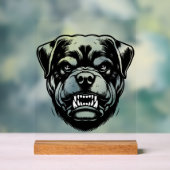 Chien Rottweiler  (Neutre)