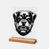 Chien Rottweiler  (Angle)