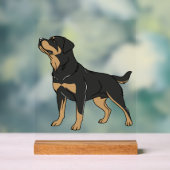 Chien Rottweiler, Chien Rottweiler Debout (Neutre)
