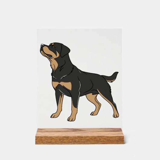 Chien Rottweiler, Chien Rottweiler Debout (Recto)