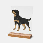 Chien Rottweiler, Chien Rottweiler Debout (Angle)