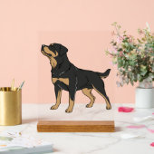 Chien Rottweiler, Chien Rottweiler Debout (Mariage)