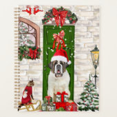 Chien Saint-Bernard Noël  (Devant)