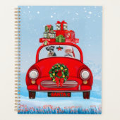 Chien schnauzer en voiture avec le Père Noël (Devant)