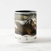 Chien se refroidissant dans la tasse de l'eau (Centre)