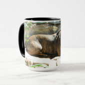 Chien se refroidissant dans la tasse de l'eau (Devant gauche)