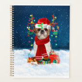 Chien Shih Tzu en neige avec cadeaux de Noël (Devant)