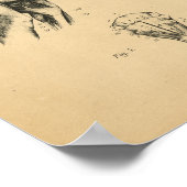 Chien Skeleton Muscles Anatomie 1908 Impression Vi (Coin)