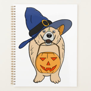 Chien Sorcière Citrouille