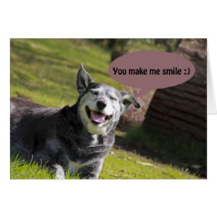 Chien souriant "tu me fais sourire" carte d'Humour