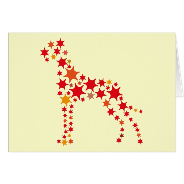 Chien Sternchen (Devant horizontal)