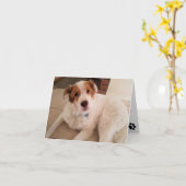 Chien sur carte blanche avec empreintes de pattes (Fleur jaune)