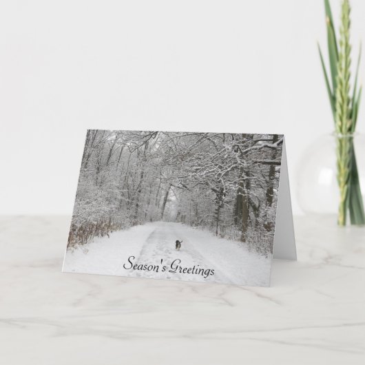 Chien sur la piste Carte de voeux de la saison (Devant)