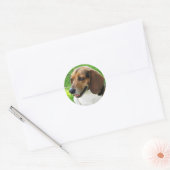 Chien sur Sticker (Enveloppe)