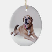 Chien sur un ornement (Droite)