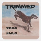 chien taillé ongles Stickers Classic Round (Devant)